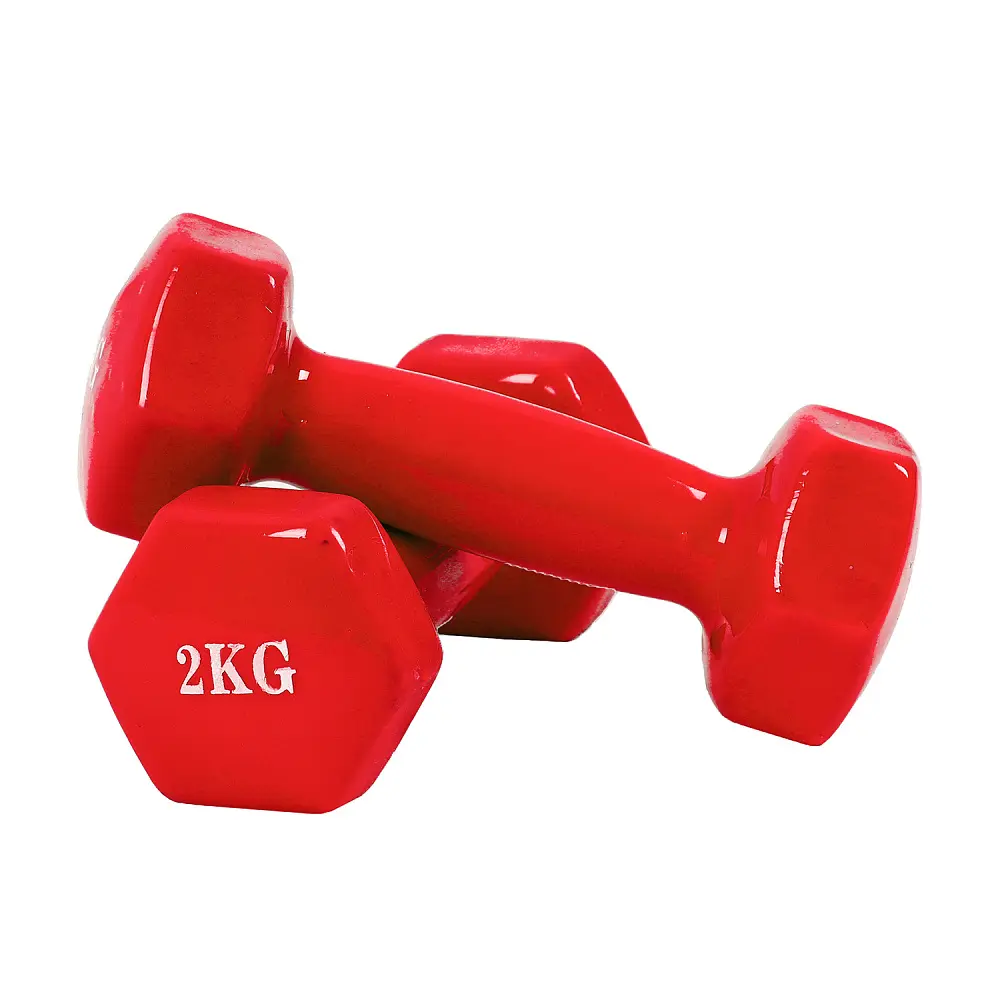 Vinil gantellar 2 kg